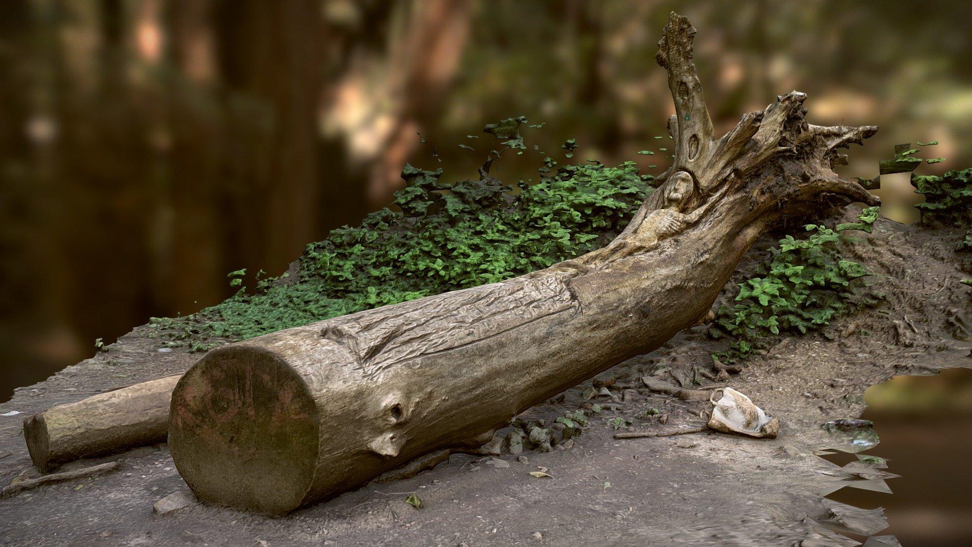 Old fallen tree with mysterious bas-relief 3d model