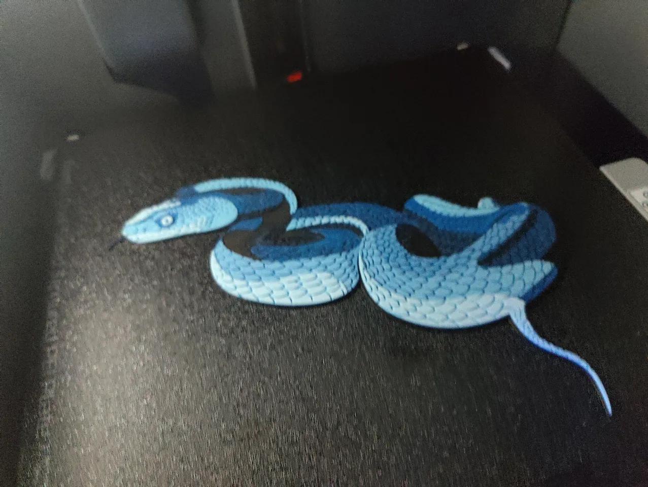 HueForge Snake 3d model