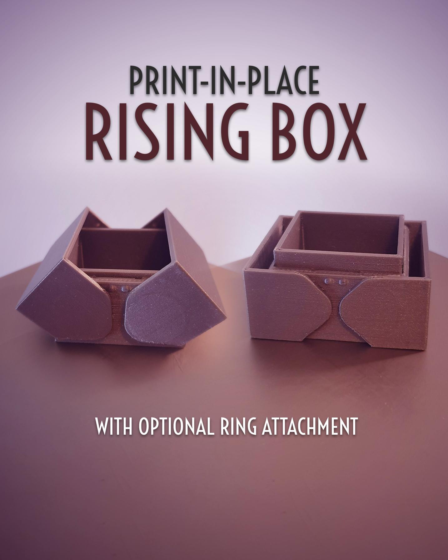 Print-in-Place Rising Box 3d model