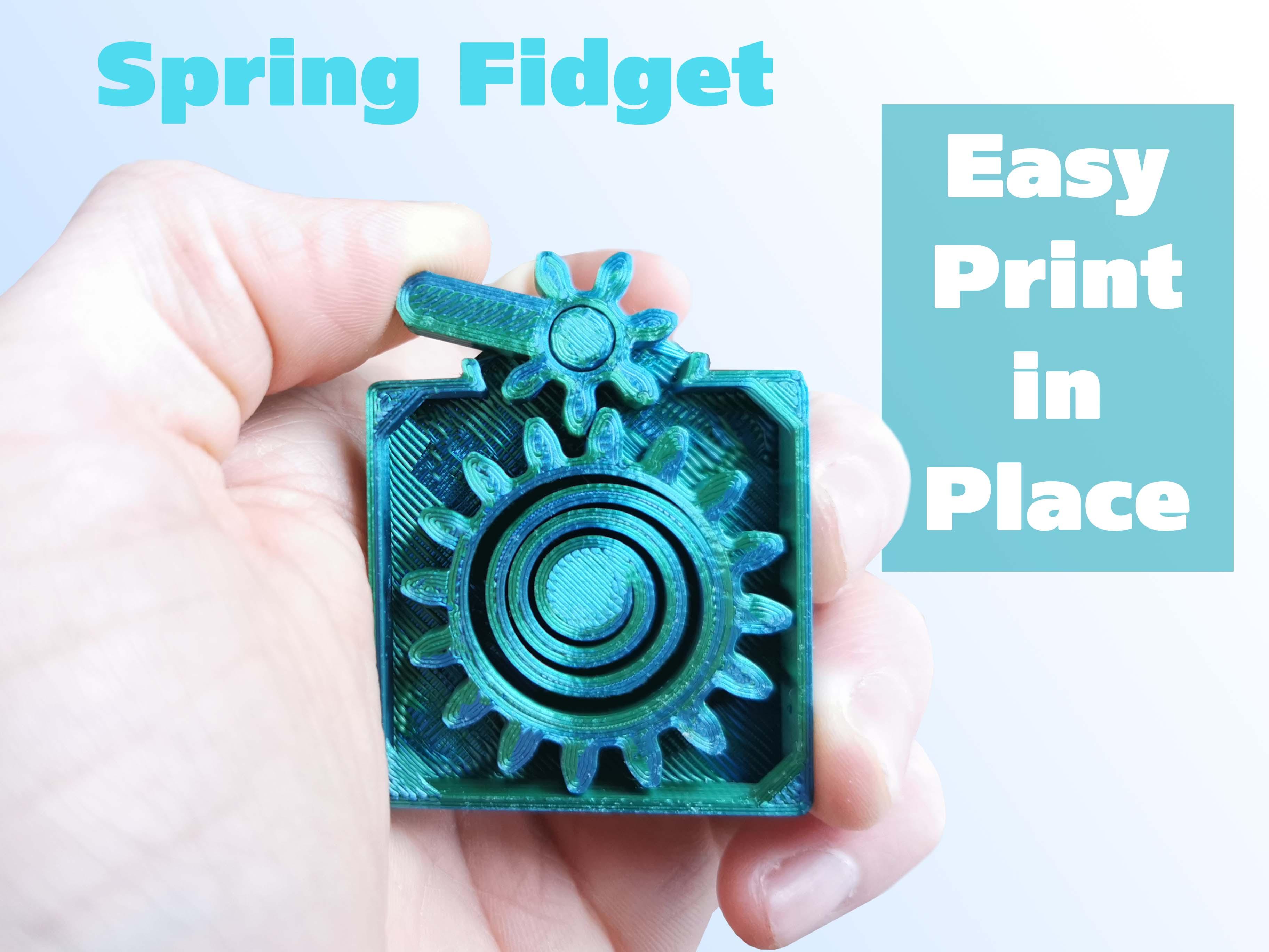 Spring Fidget 3d model