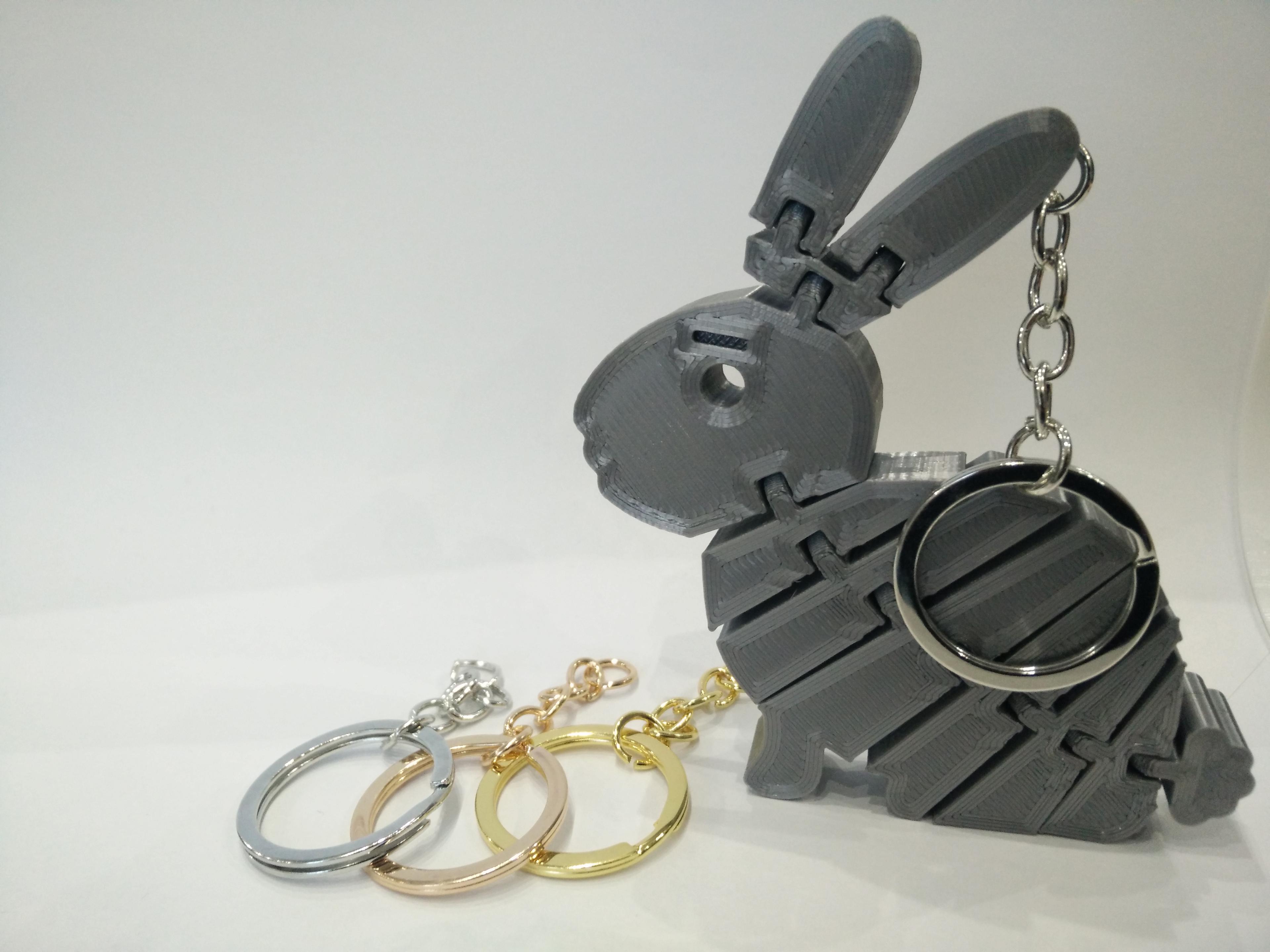 Flexi Rabbit Keychain 3d model