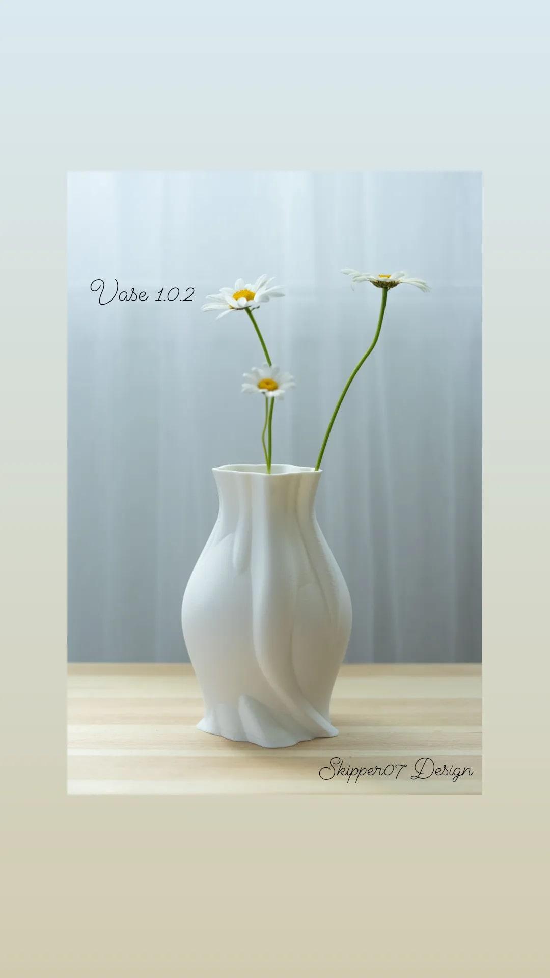 Vase 1.2.0.stl 3d model