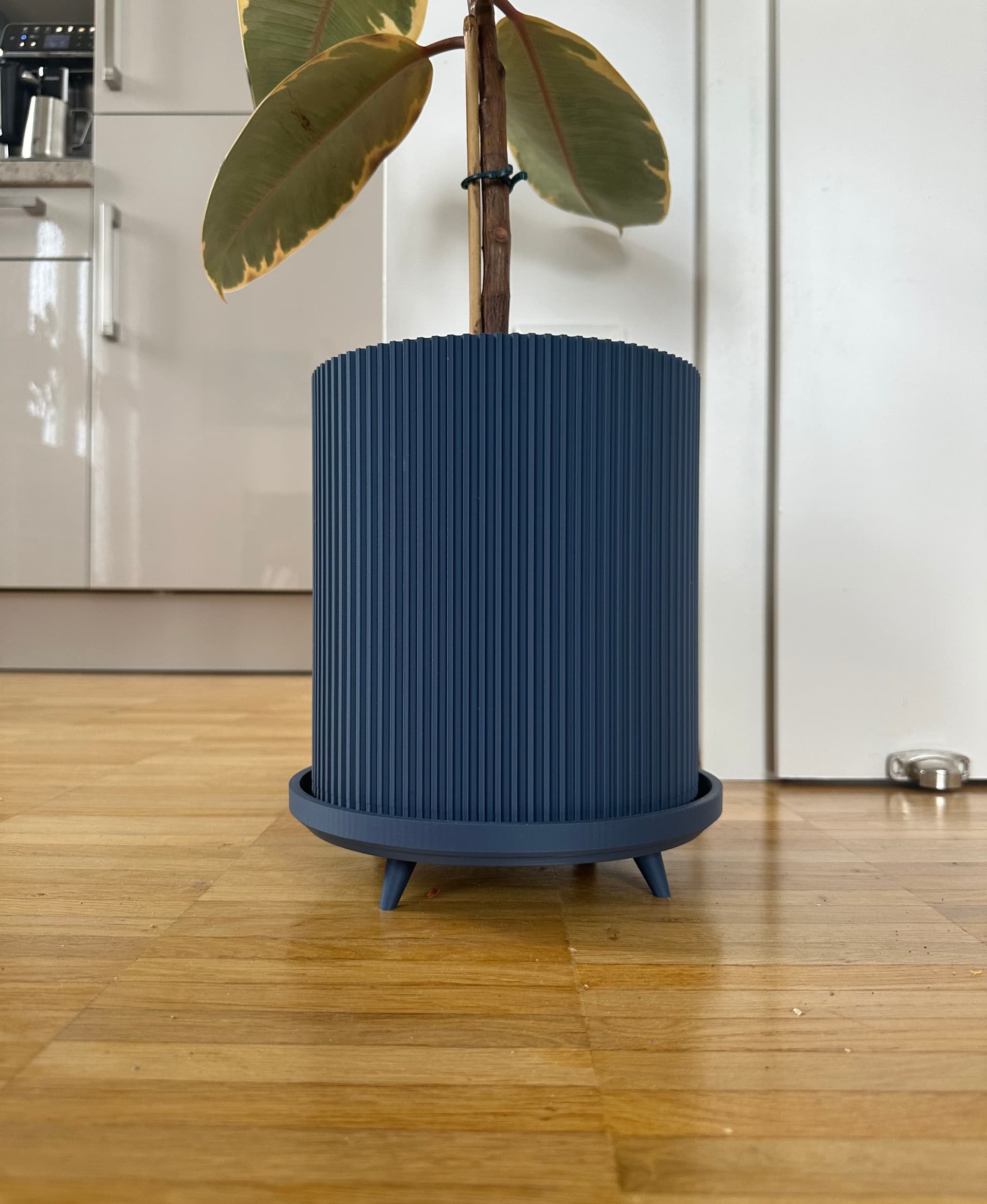 Very happy with how it turned out. Printed on AnkerMake M5C with ERYONE Matte Navy Blue PLA filament. Scaled the 6.5" up to 110% to fit the plant I had in mind. Great design!