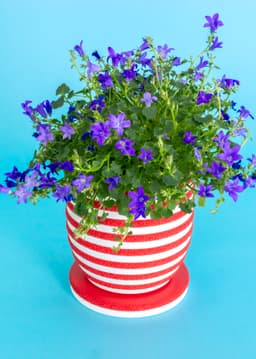 WALDO Planter 01 (120mm) 3d model