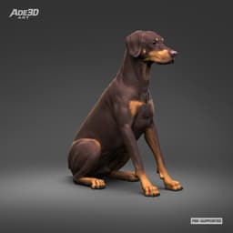 Doberman Pinscher Natural Ears Docked Tail 3D Print Pose 04 3d model