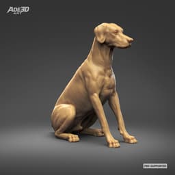 Doberman Pinscher Natural Ears Docked Tail 3D Print Pose 04 3d model