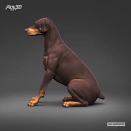 Doberman Pinscher Natural Ears Docked Tail 3D Print Pose 04 3d model