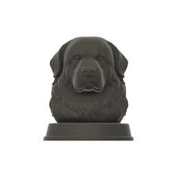 Great Pyrenees Dog Bust - Dog Statue - STL 3MF - 3D Printable Dog Model - Pet Memorial 3d model