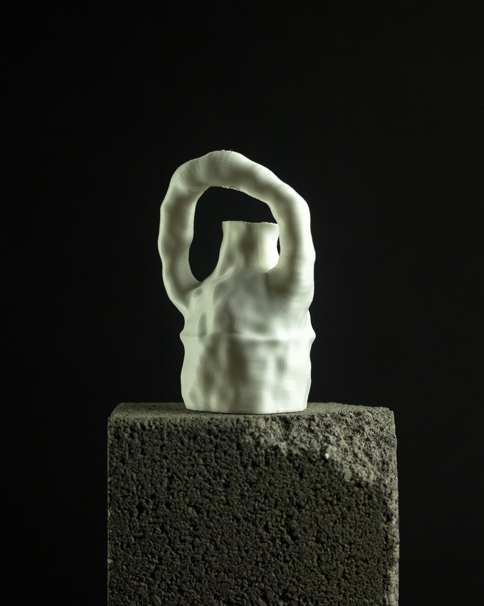 Loop Vase Prototype 3d model