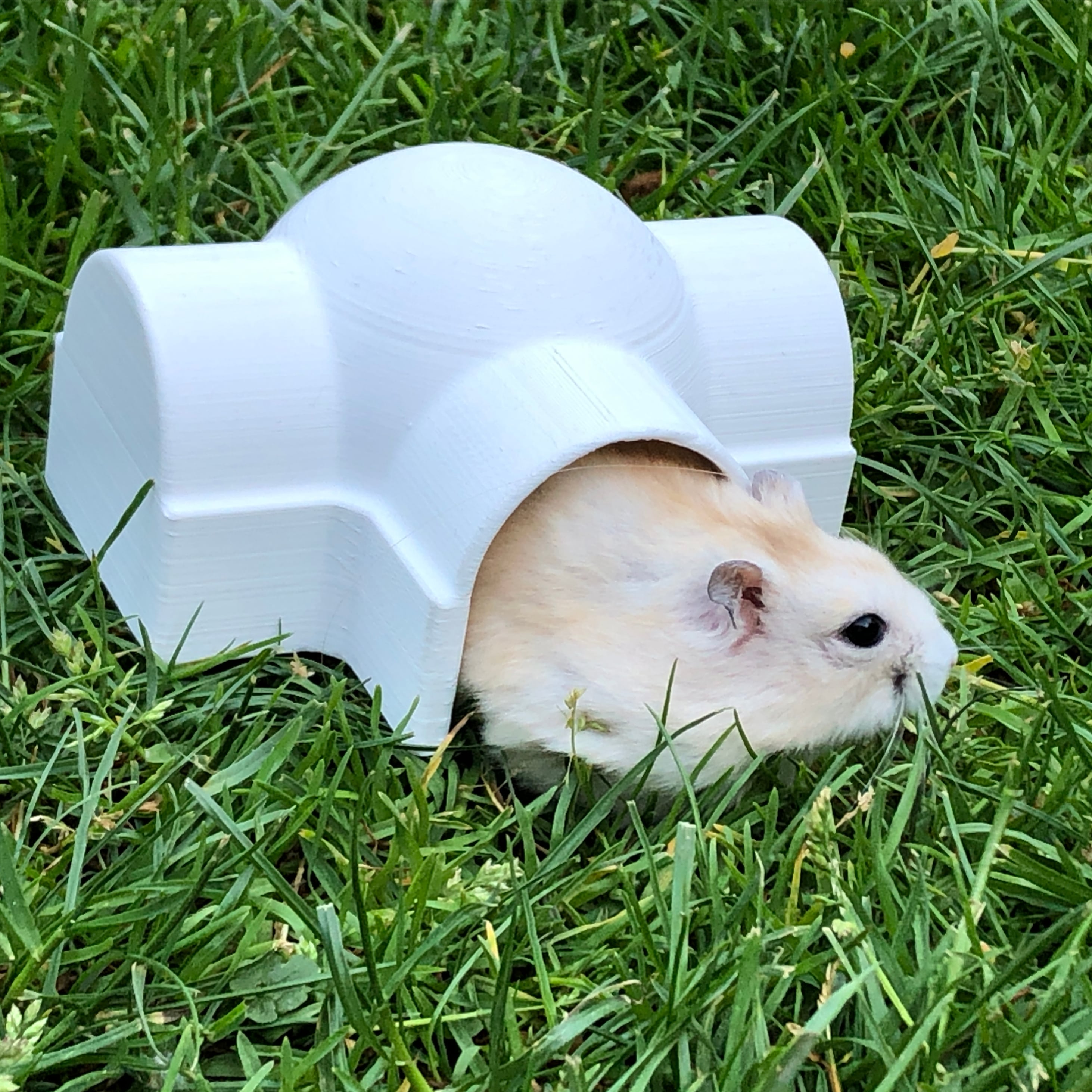 Hamster House Skywalker 3d model
