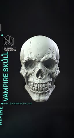 Vampire Skull - Decoration 3d model