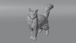Maine coon cat 3d model