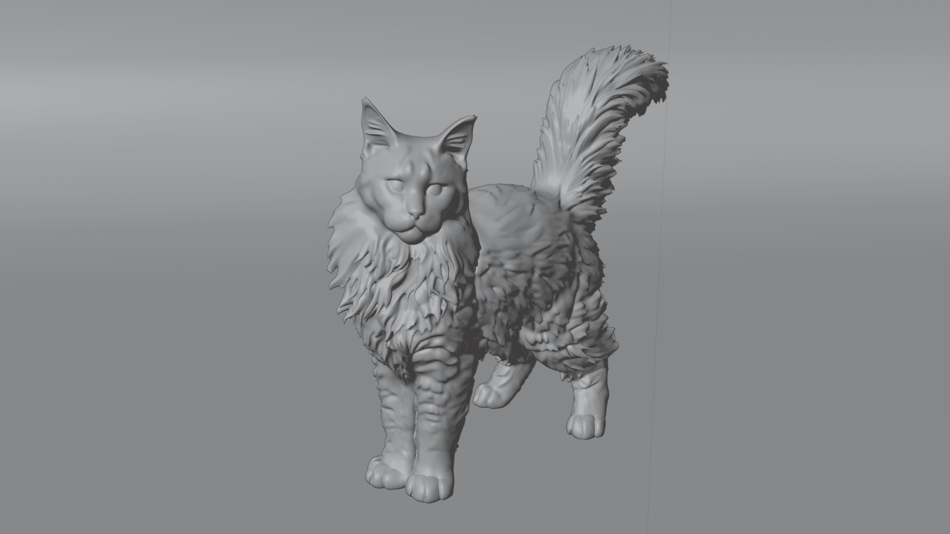 Maine coon cat 3d model