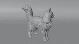 Maine coon cat 3d model