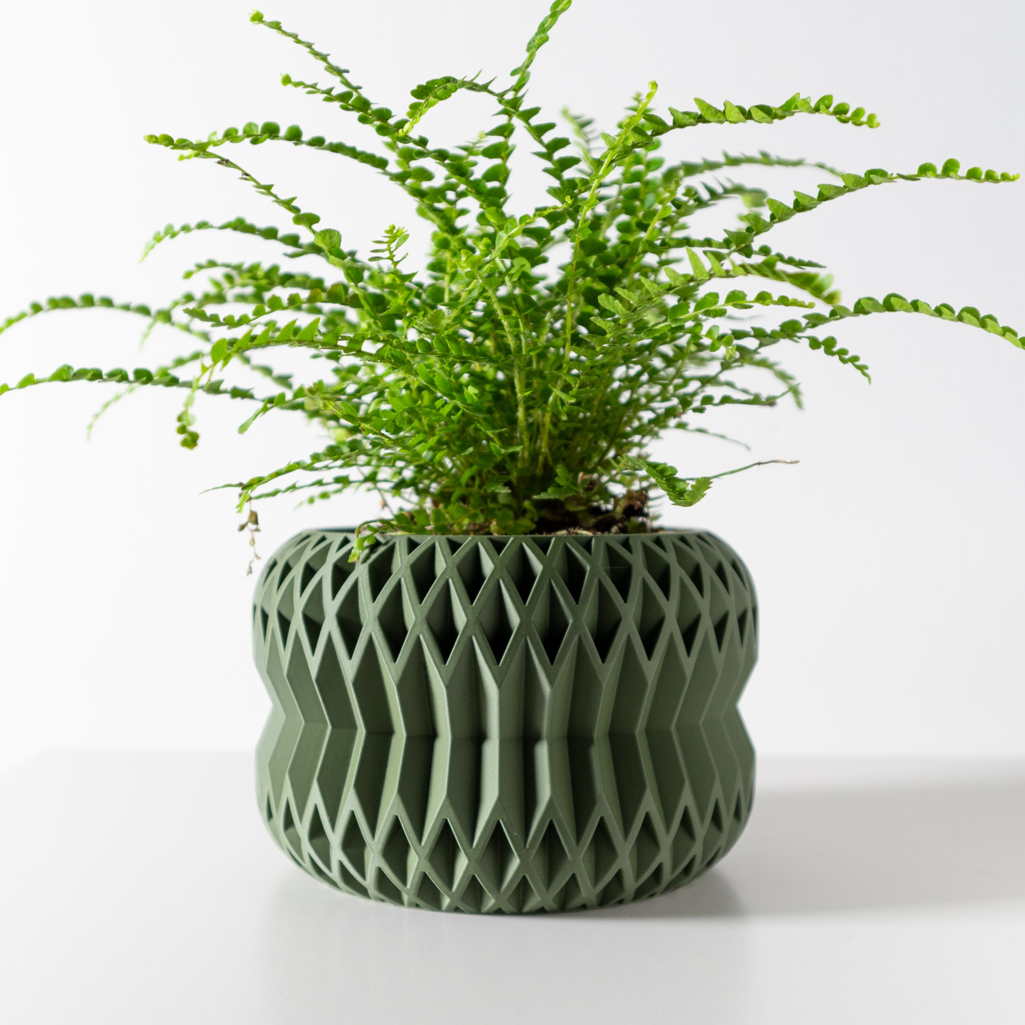The Rydan Planter Pot with Drainage Tray & Stand: Modern and Unique Home Decor for Plants 3d model