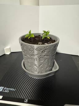 Plant Pot 3d model