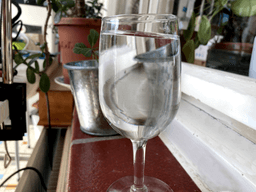 Put your plants on a windowsill with a slope - Our porch windowsill has a slope. - 3d model