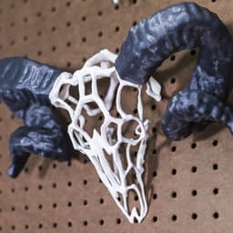 Wire Skull // Ram 3d model