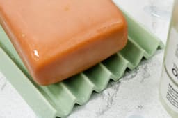 Pastel Wave Soap Tray 3d model