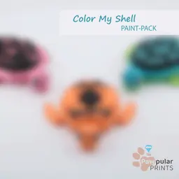 Color My Shell 3d model