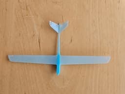 Tiny Indoor Glider and It's Big Mama 3d model