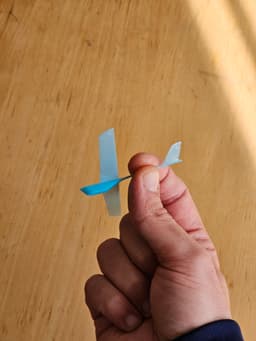 Tiny Indoor Glider and It's Big Mama 3d model
