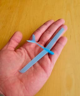 Tiny Indoor Glider and It's Big Mama 3d model