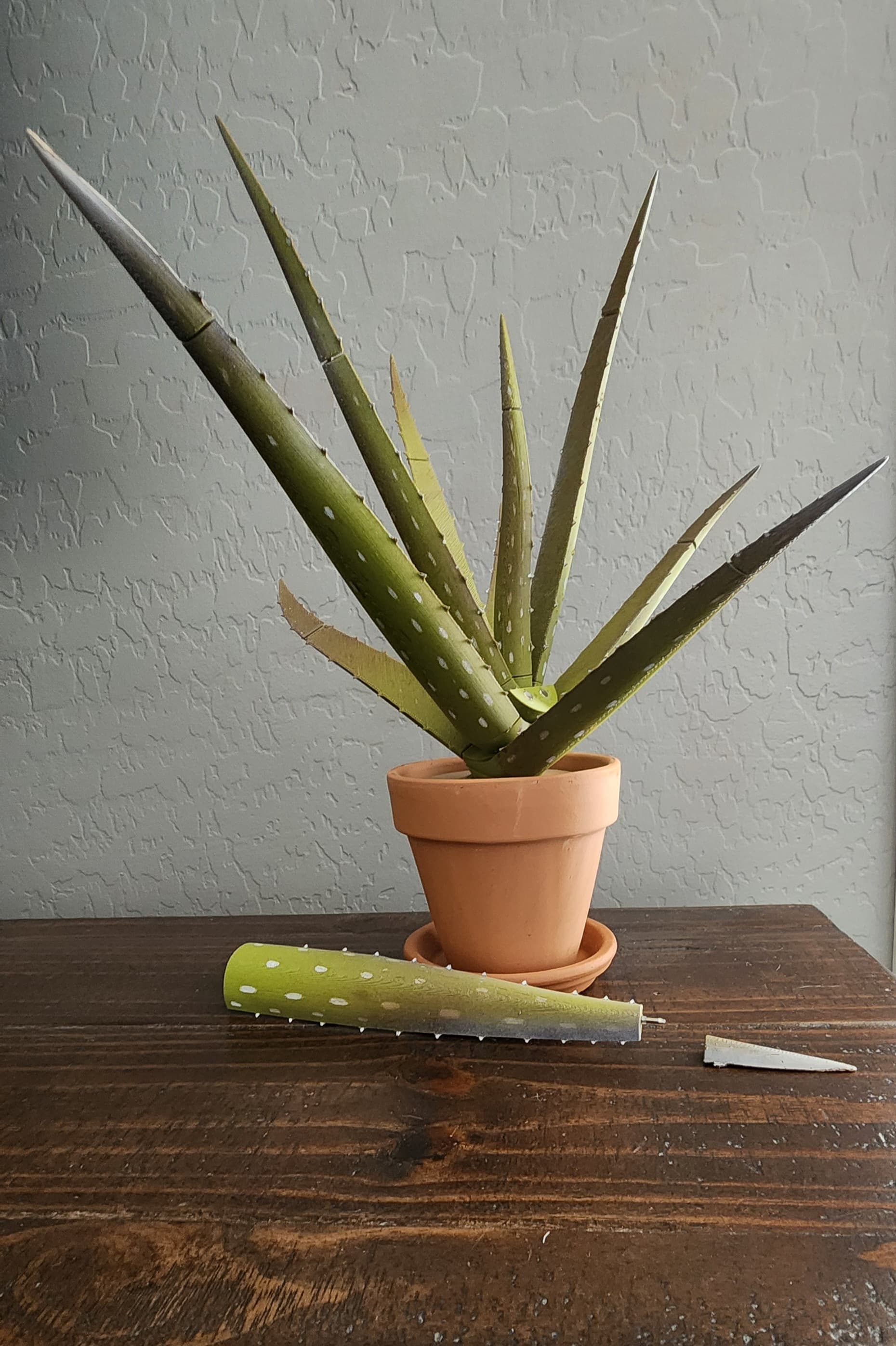 Love this print-I used harbor frieght 12 piece files #4614 that came in handy for pen inserts and to file down any rough edges. Also used a white paint marker for dots on plant and spray painted tips lightly with a brown and pink spray cans, and placed in a 4-inch clay pot with saucer.