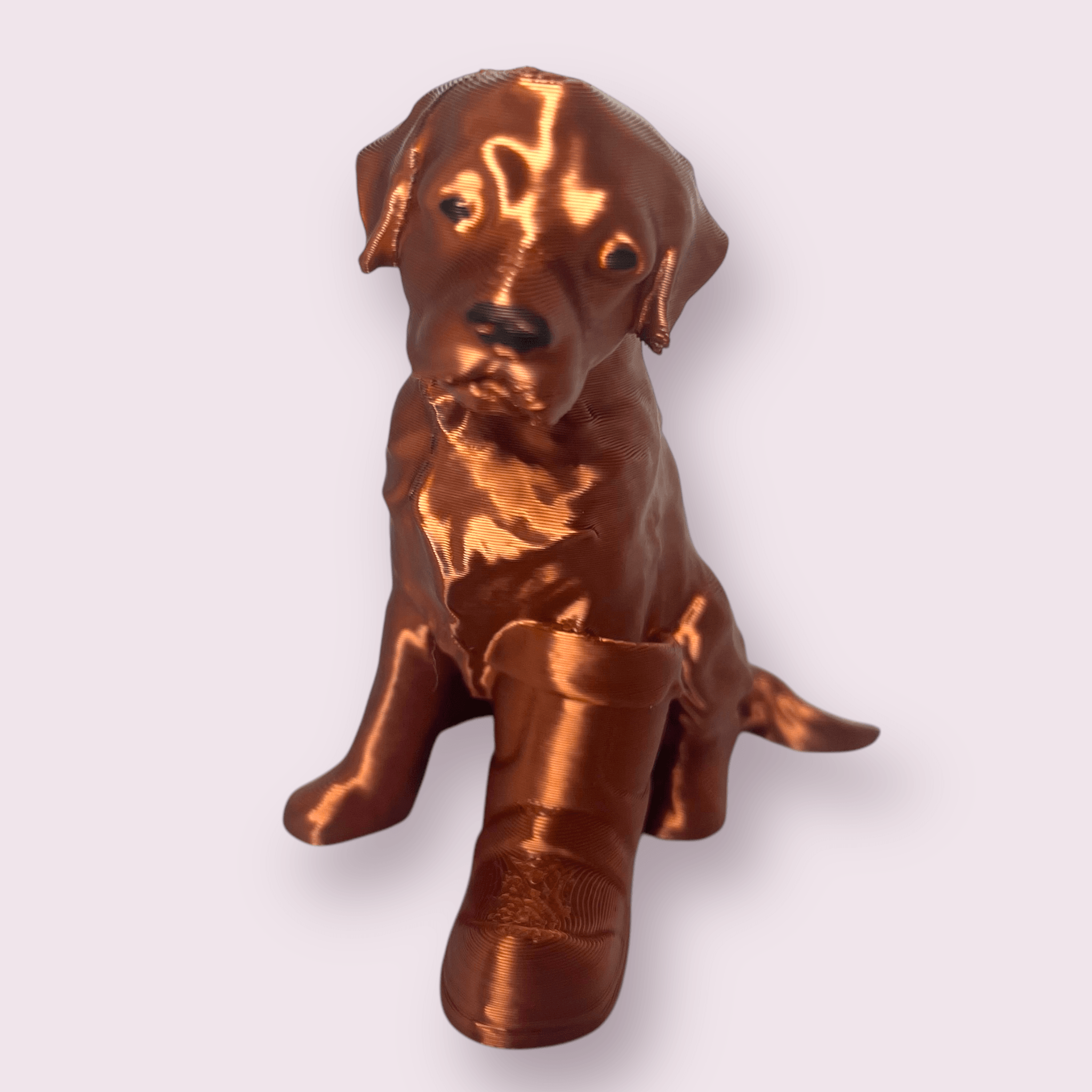labrador with boot 3d model