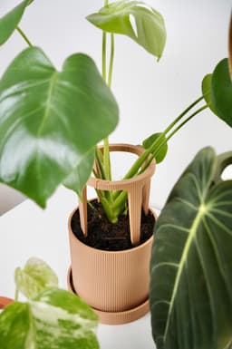 STEMRA Planter with Matching Plant Stakes 3d model