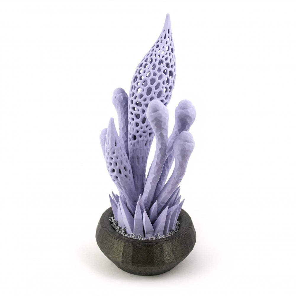 Alien Garden // Plant 5 3d model