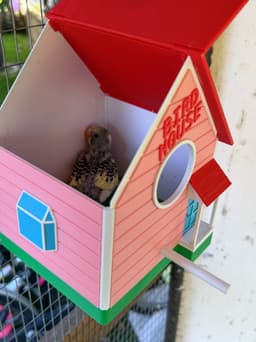 BIRD HOUSE.3mf 3d model