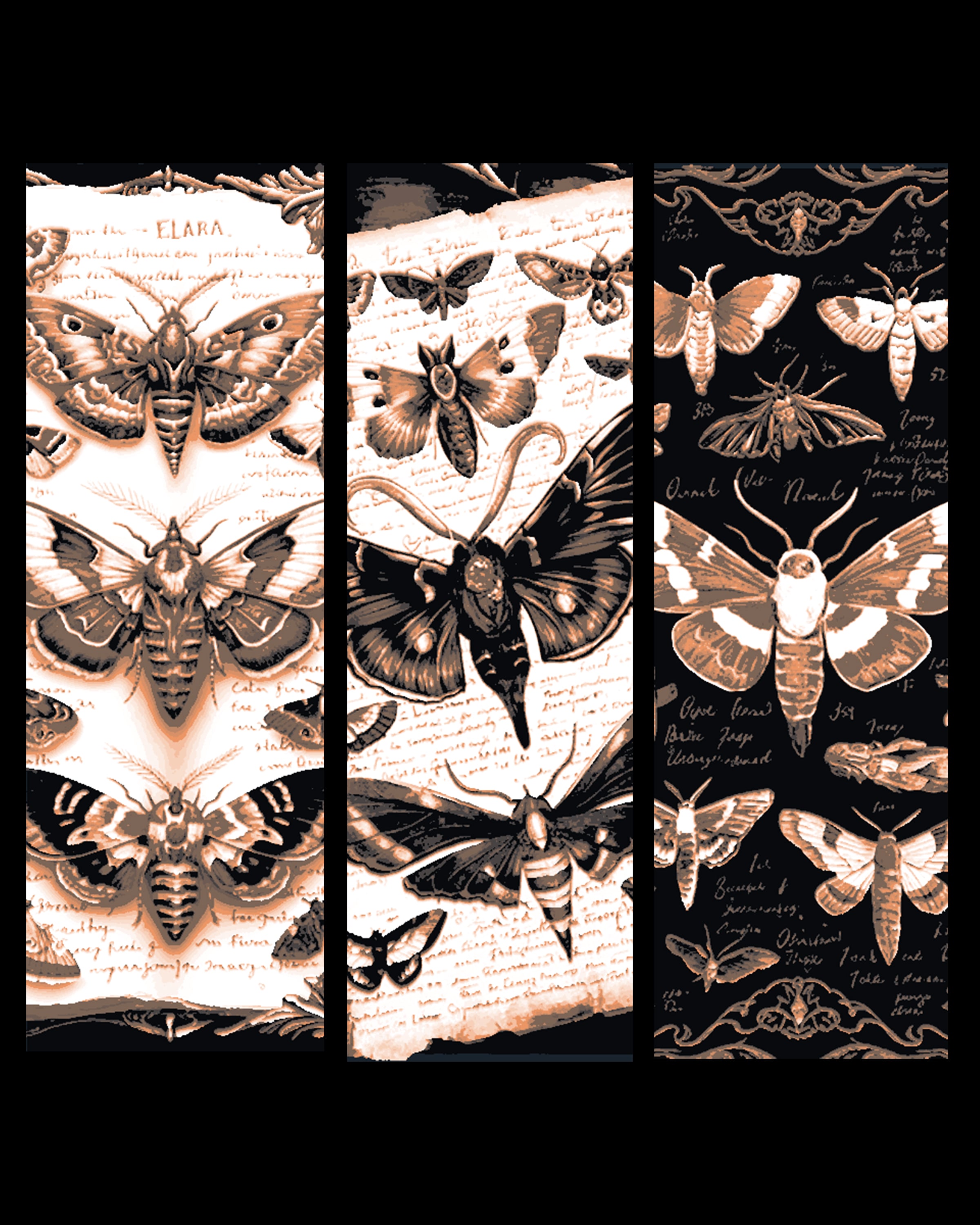 Fantasy Journal Pages on the Study of Magical Moths - Set of Bookmarks 3d model