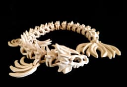 Skull Dragon Adult, Medium and Baby (Personal Use) 3d model