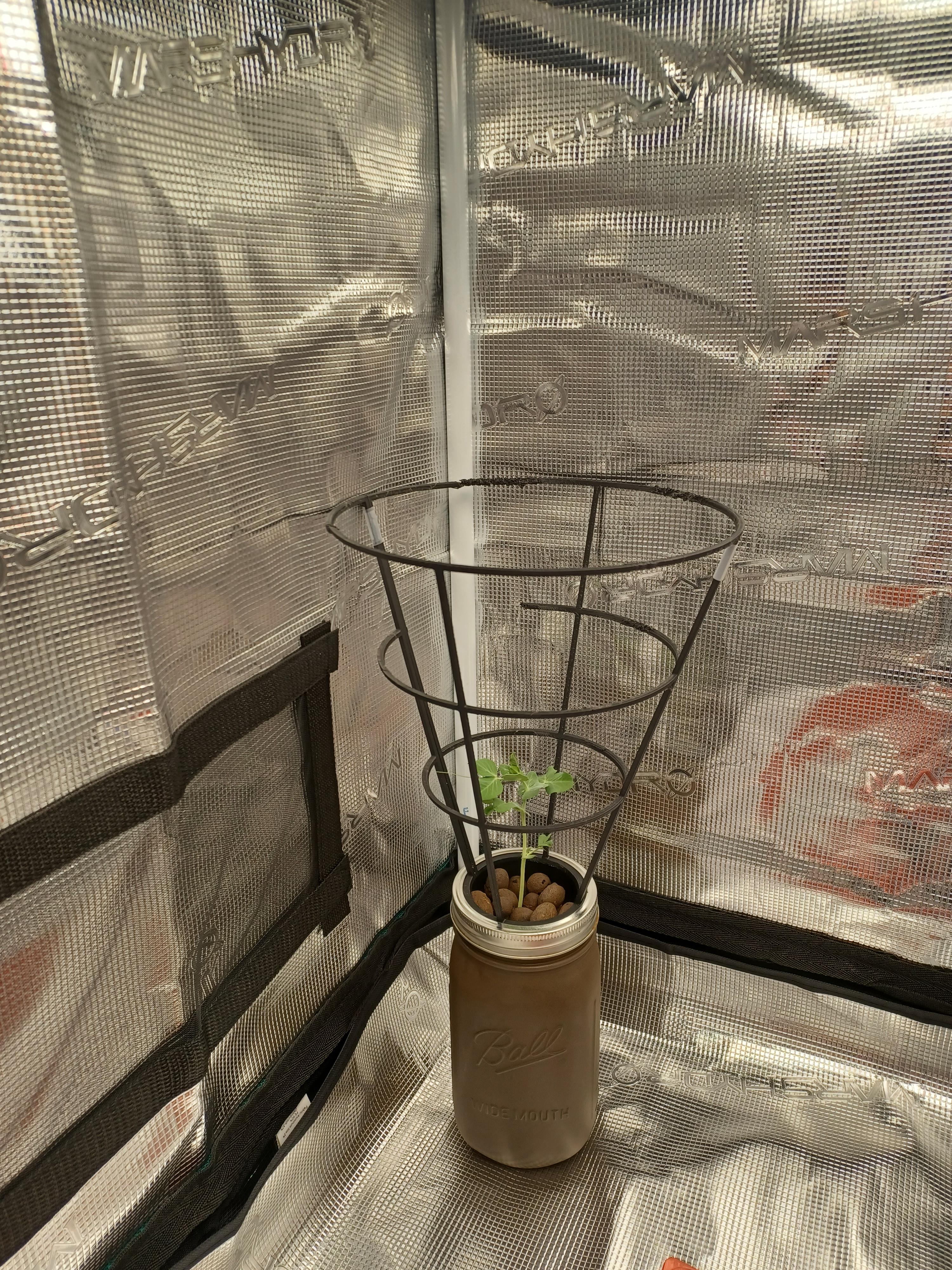Mason Jar Gardening Cage Trellis.stl 3d model