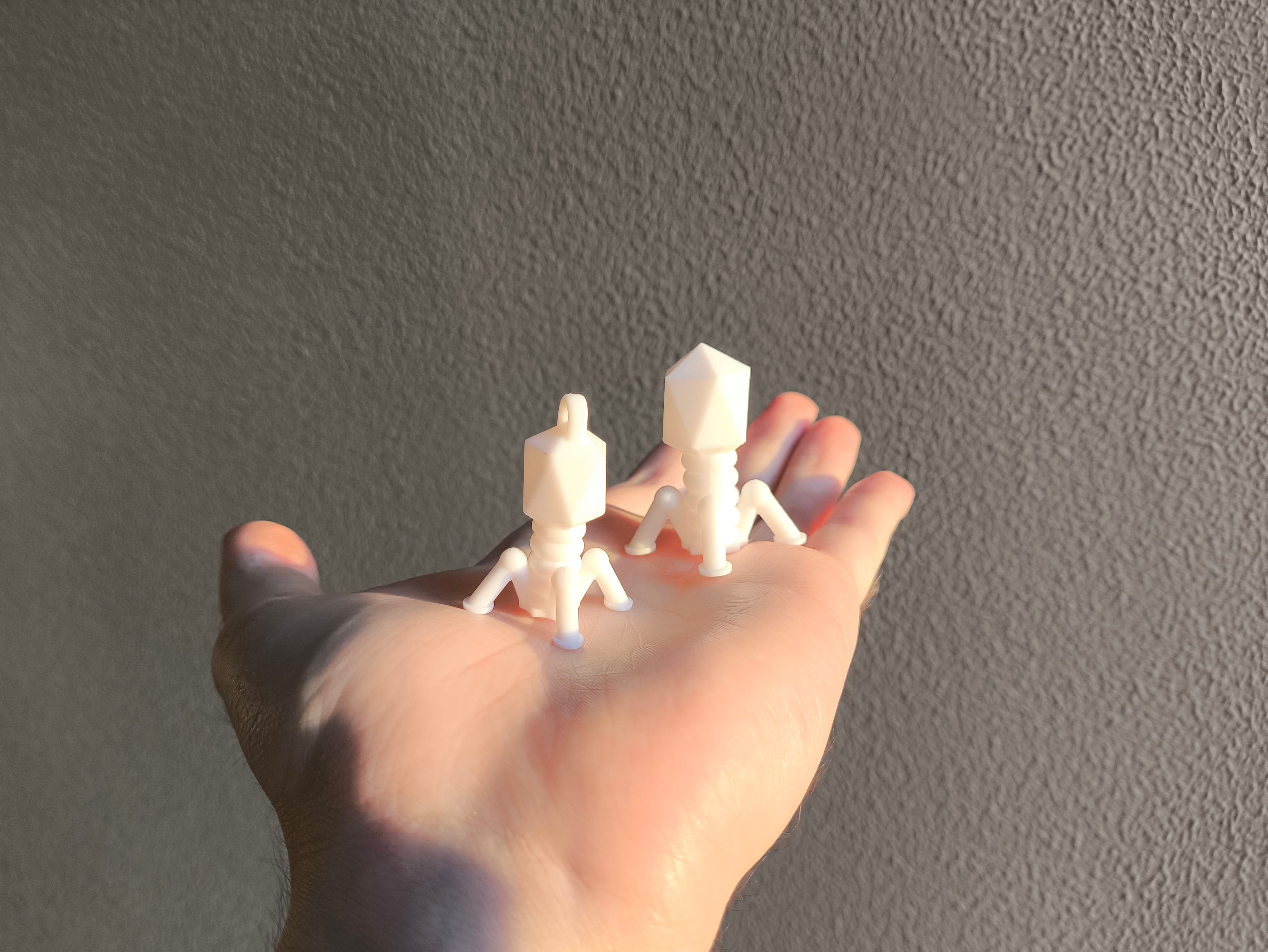 Bacteriophage Model and Keychain 3d model