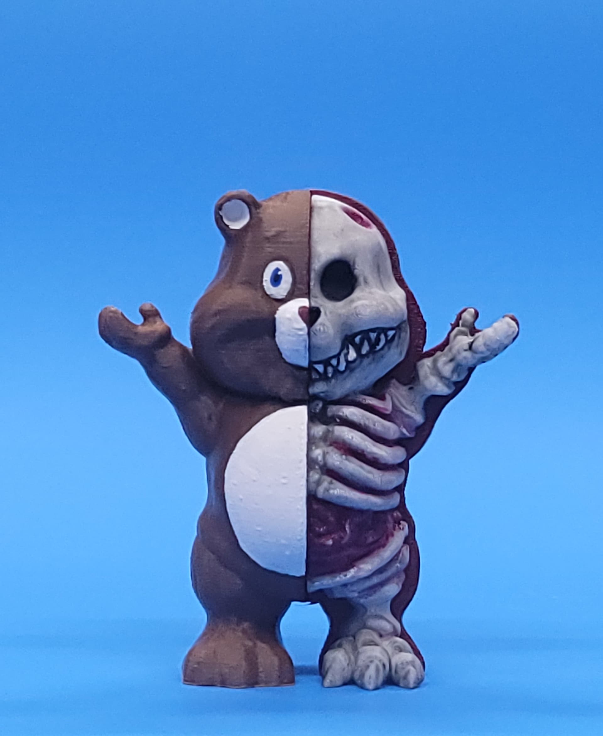 X-Ray bear 3d model