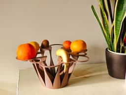 Seed to Fruit Bowl 3d model