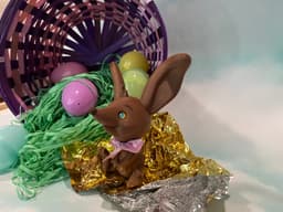 Easter Bilby.stl 3d model