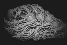 Artifact Catalog 403: The Wailing Seal of Nhar-Keth (PRE SUPPORTED) 3d model