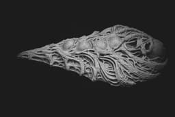 Artifact Catalog 403: The Wailing Seal of Nhar-Keth (PRE SUPPORTED) 3d model