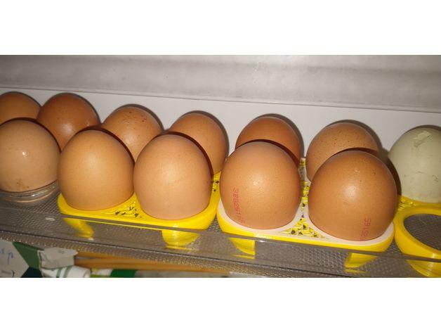 Egg tray 3d model