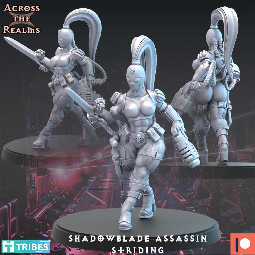 Shadowblade Assassin_walk pre supported.stl 3d model
