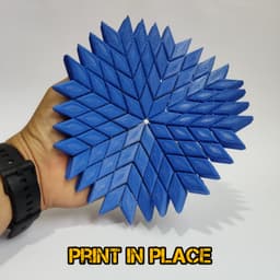 snowflake placemat & coaster 3d model
