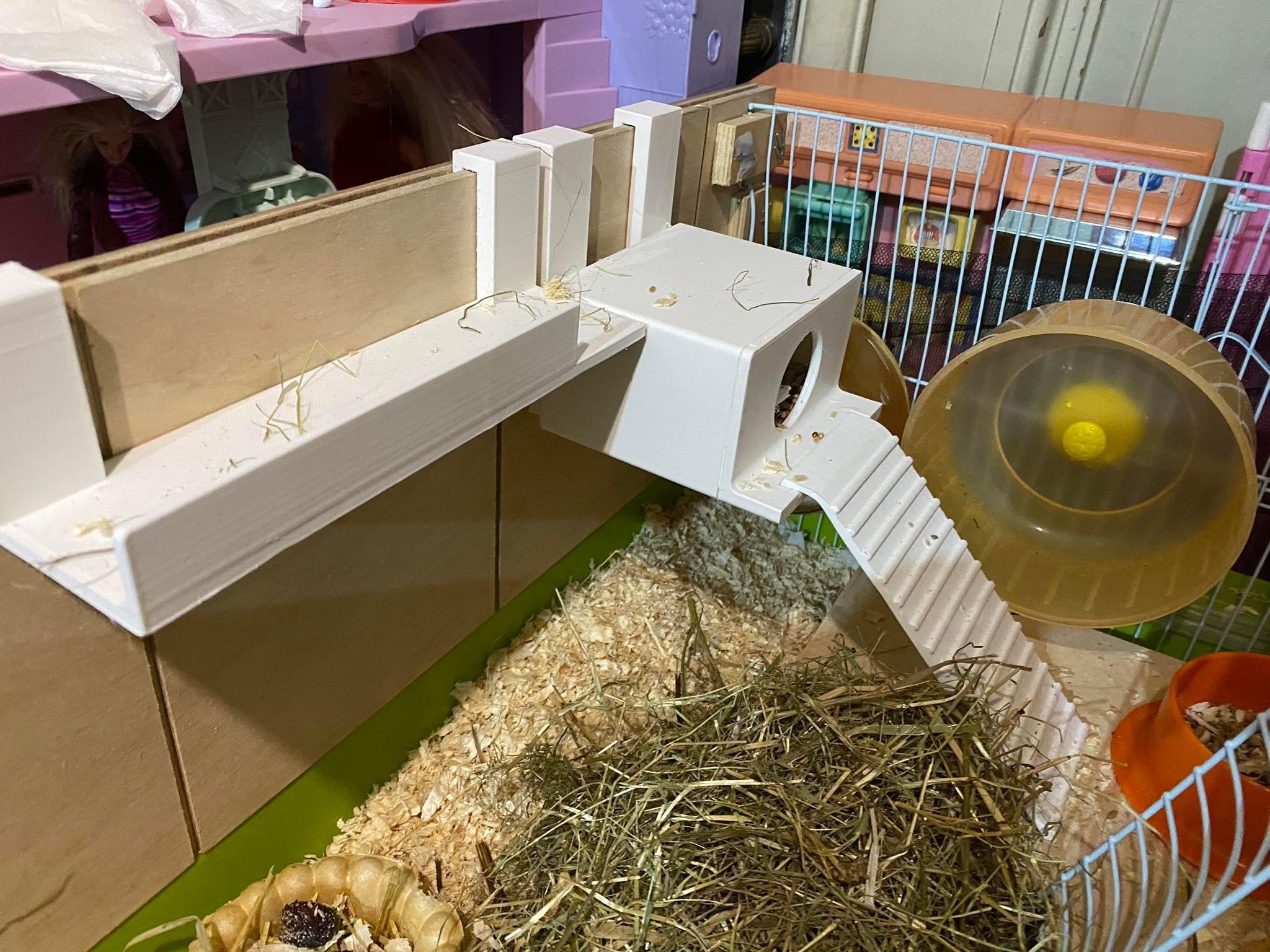 Hanging House for hamster 3d model