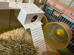 Hanging House for hamster