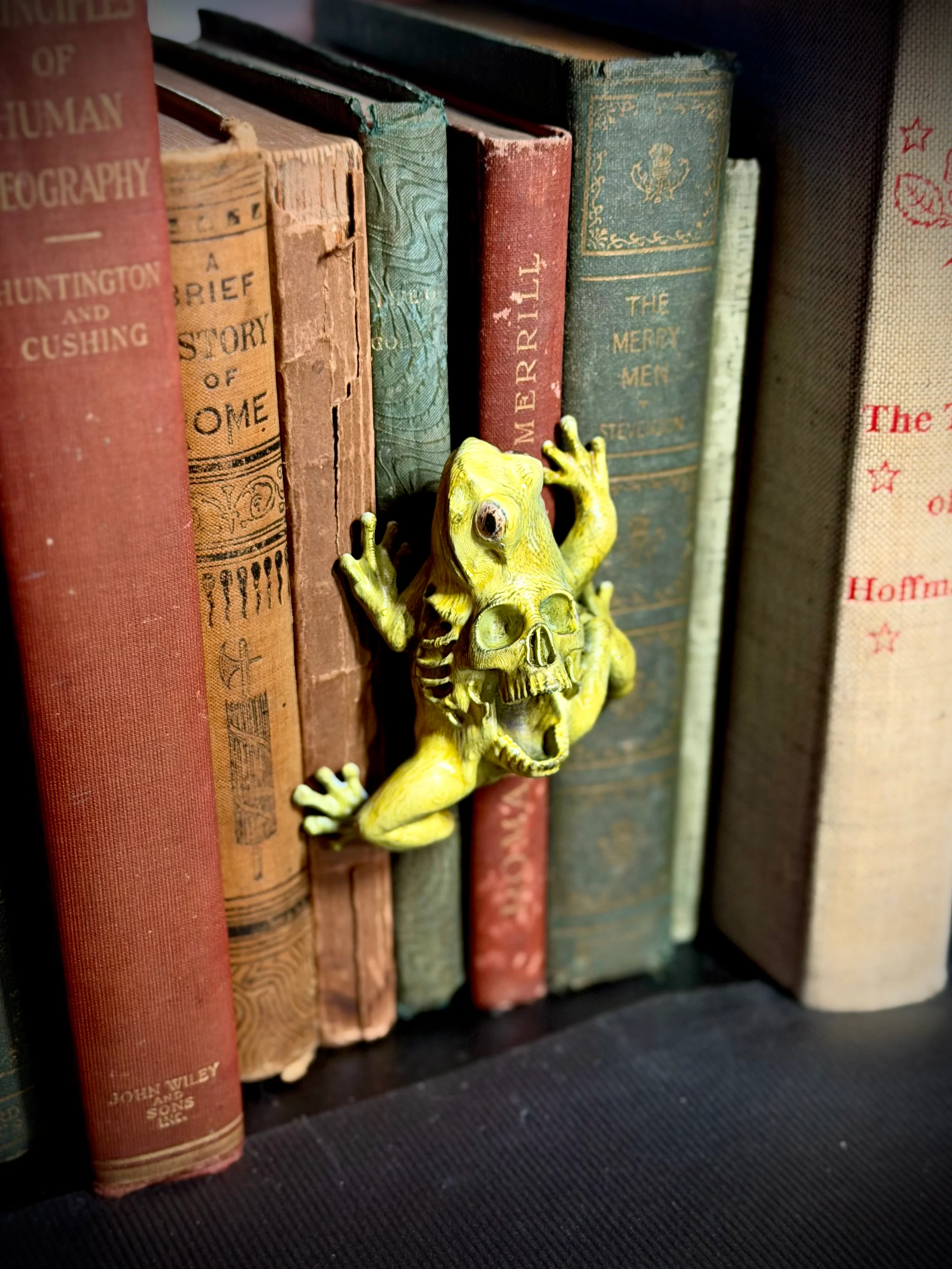 Skull frog spine hugger 3d model