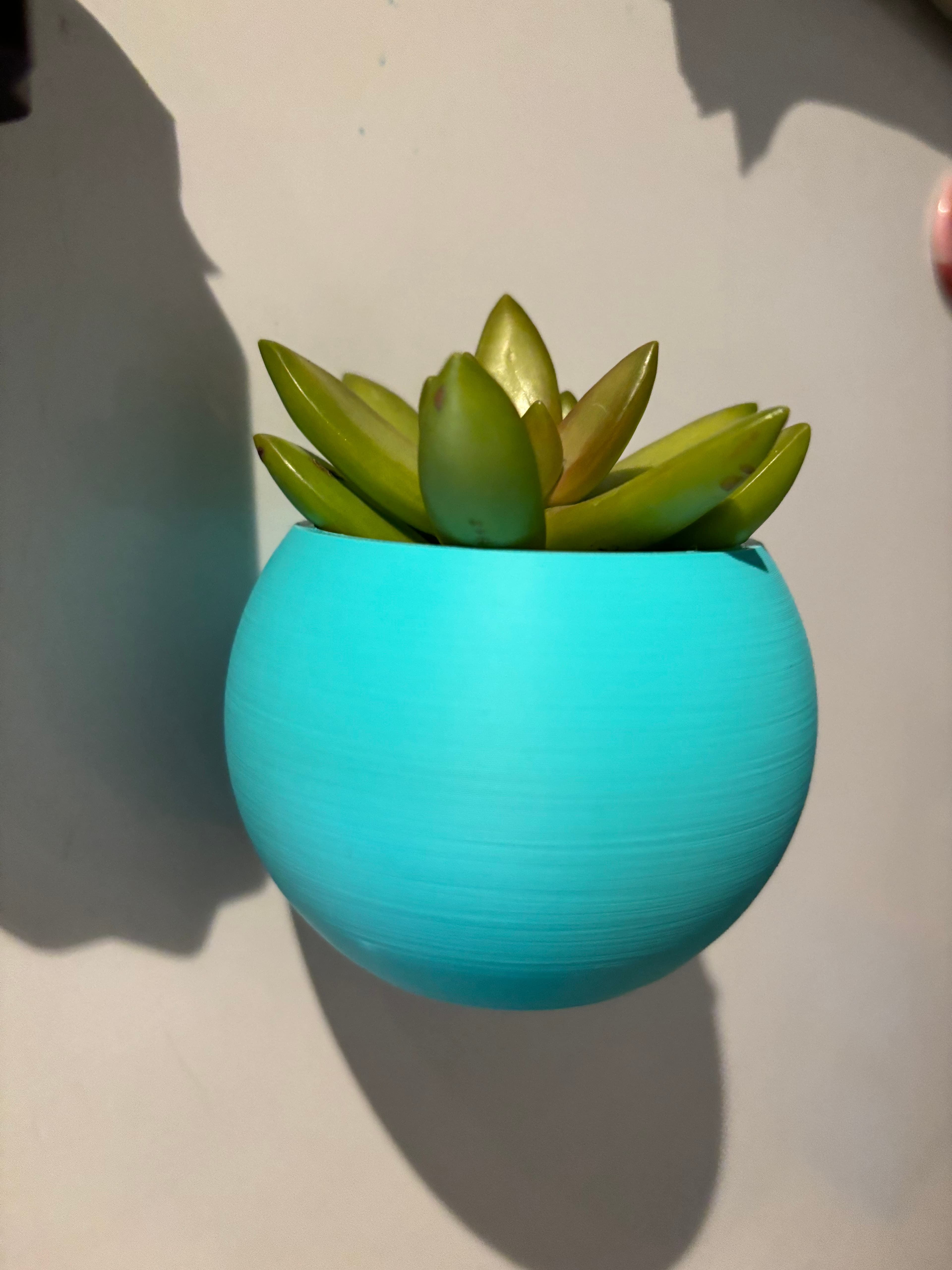 Fridge magnetic planter for succelent plants - 1 - NON COMMERCIAL 3d model