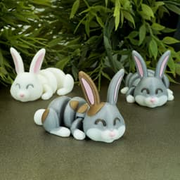 Articulated Bunny 3d model