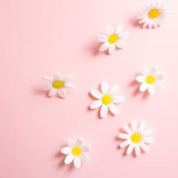 Daisy Hoops Earrings 3d model
